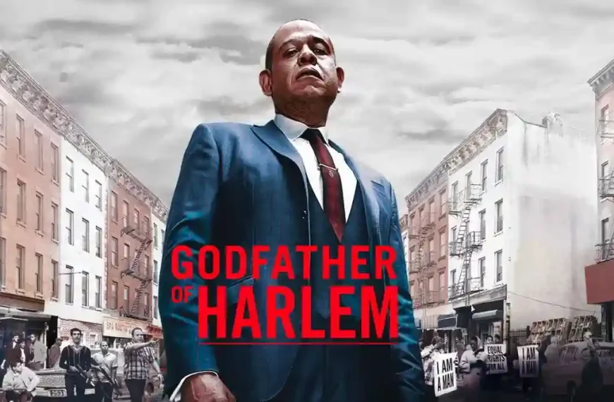 Godfather of Harlem Season 4: Everything You Need to Know